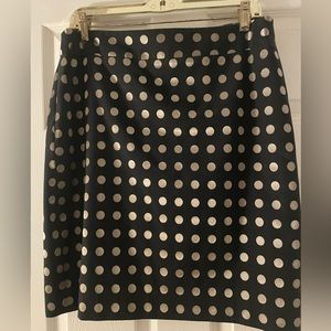 Ann Taylor Skirt 14P